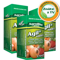 Agil