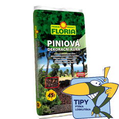Piniov kra